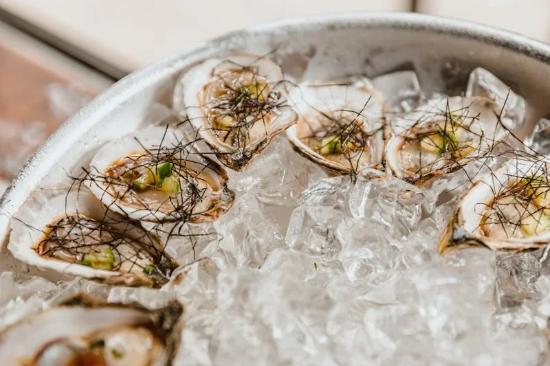 Zeeland oyster appetizer with refreshing cucumber and dill