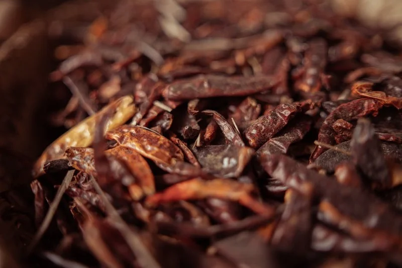 Chili chocolate warm drink with dried chili garnish