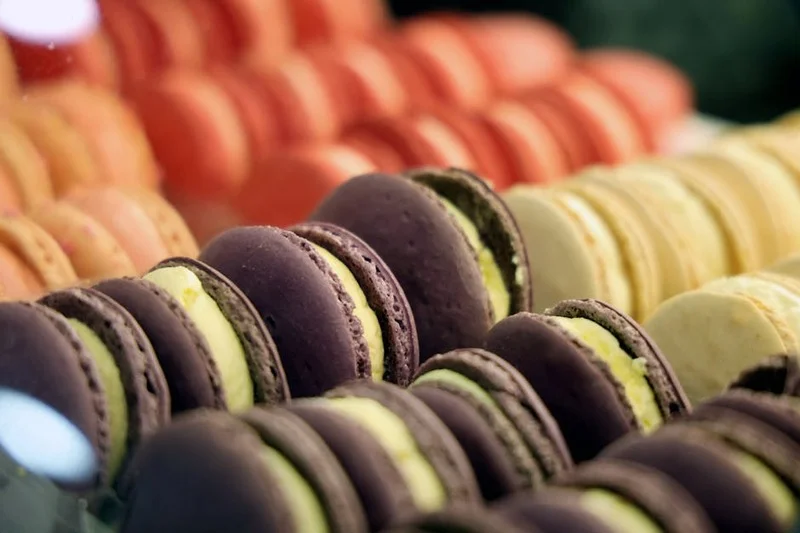 Diverse macarons met intense fruit- en chocoladevullingen tentoongesteld in een moderne patisserie